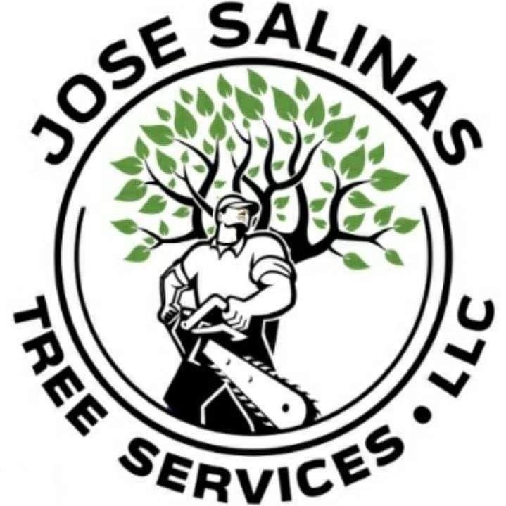 jose salinas tree service llc