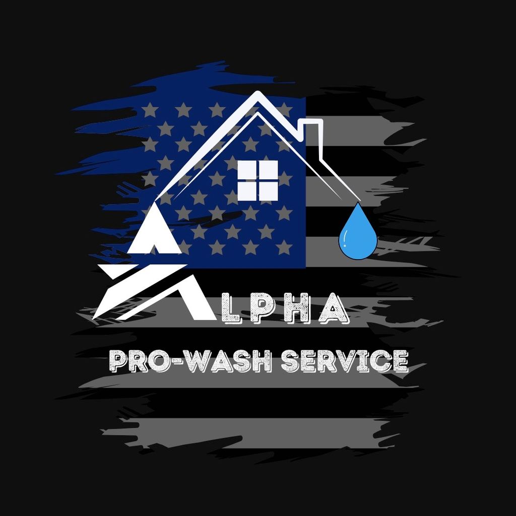 Alpha Pro-Washing & Handyman Service