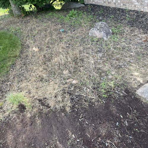 Lawn Mowing and Trimming