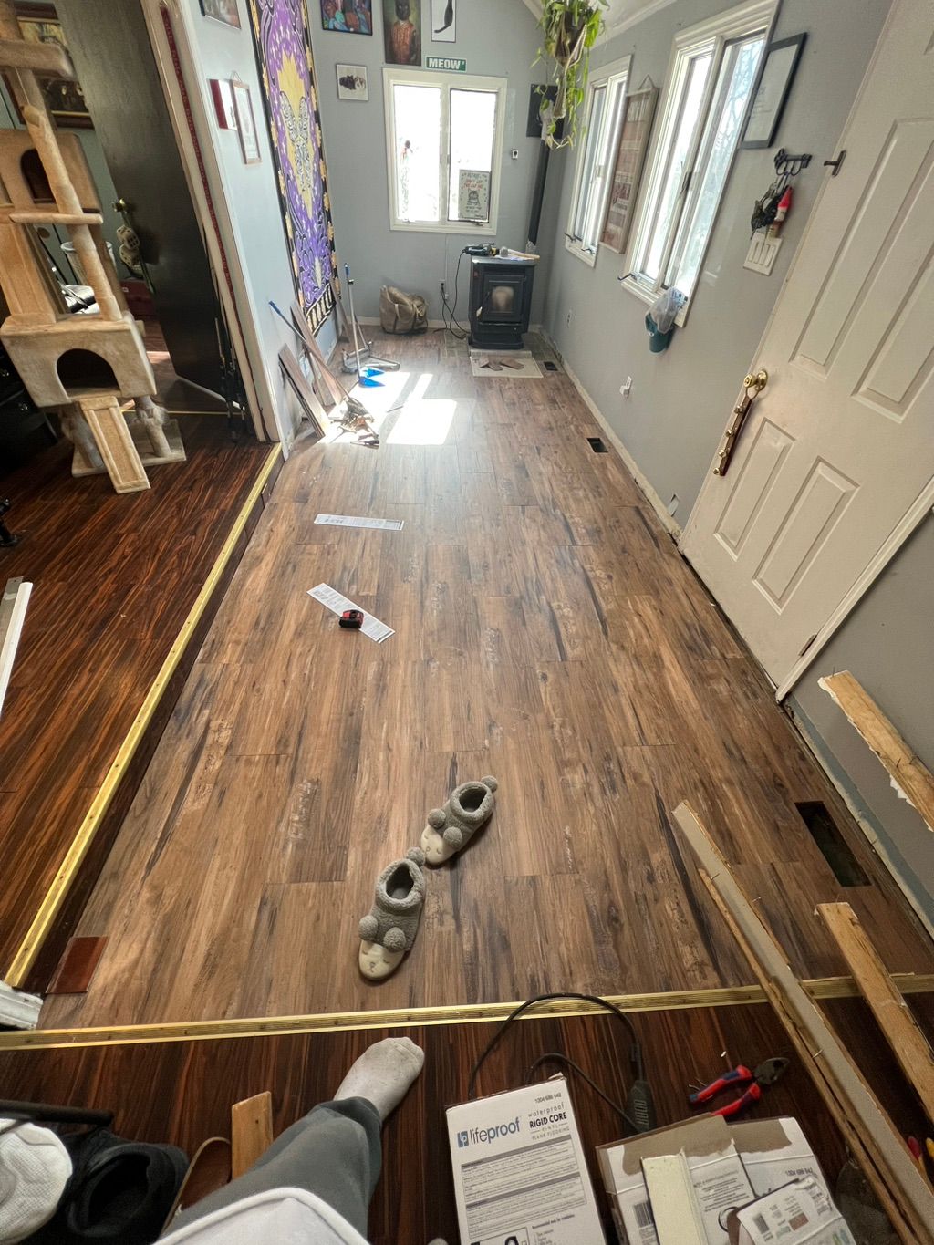 Projects and media