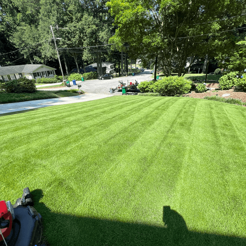 Professional Lawn Service