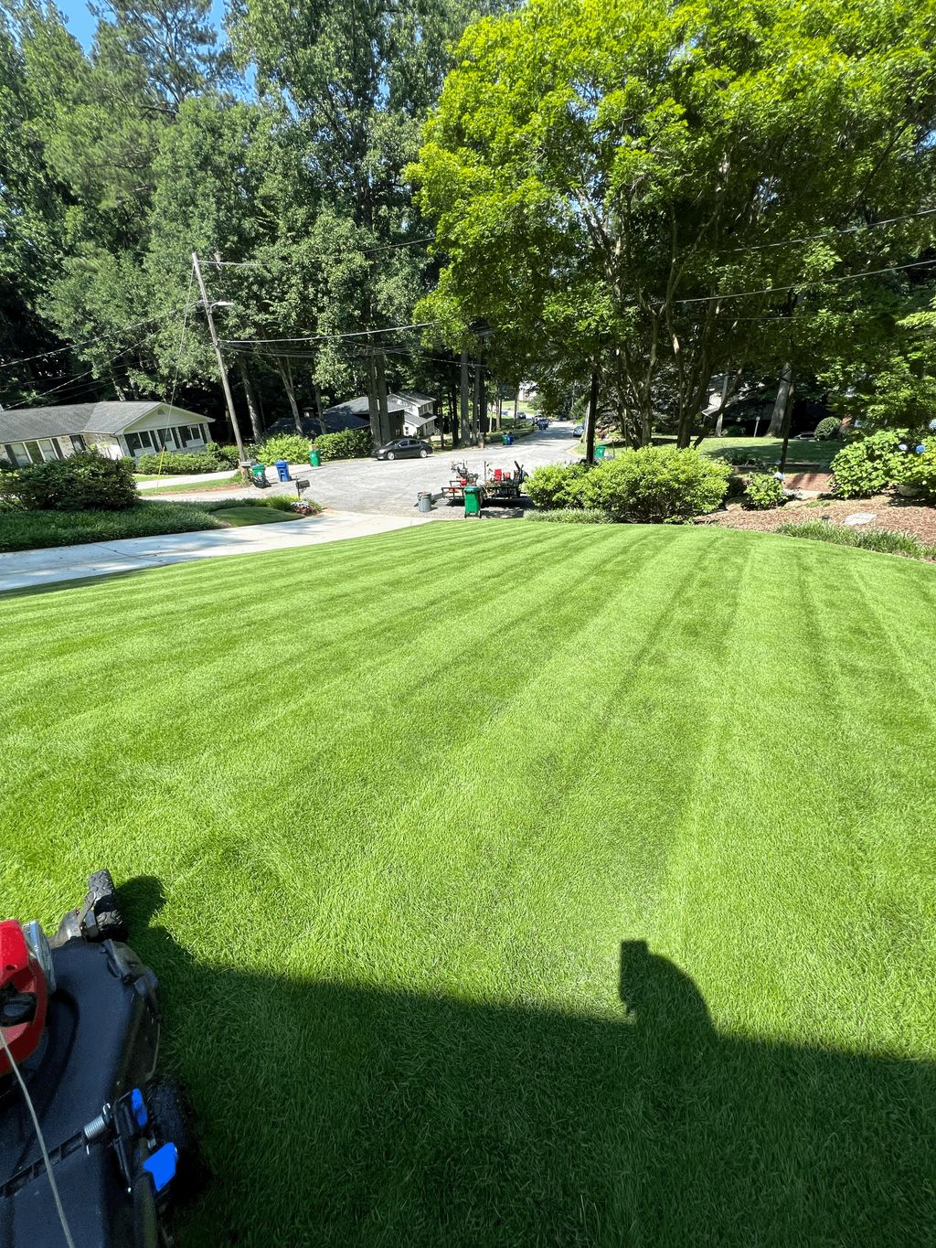Professional Lawn Service