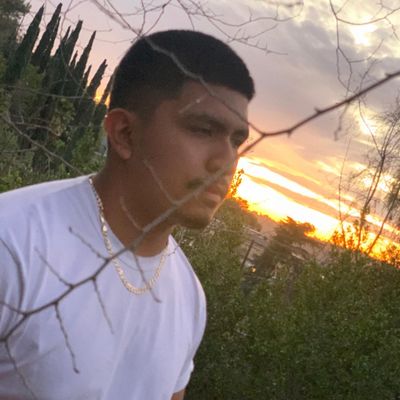 Avatar for Elena’s Electric