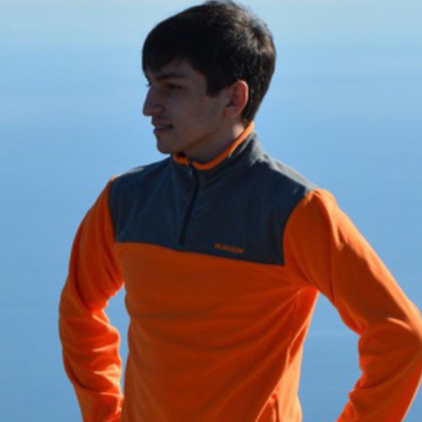 pro avatar