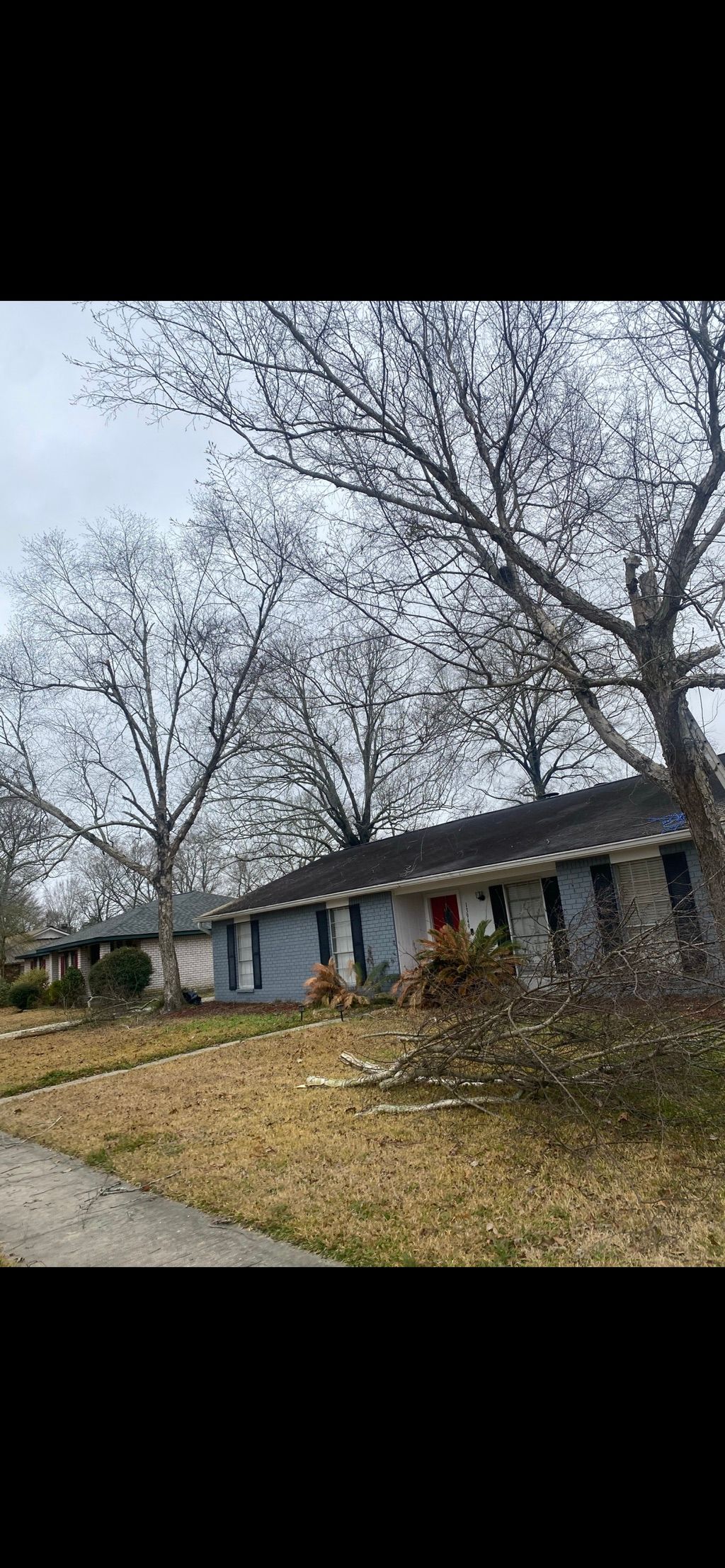 Before / old roof , old landscaping 