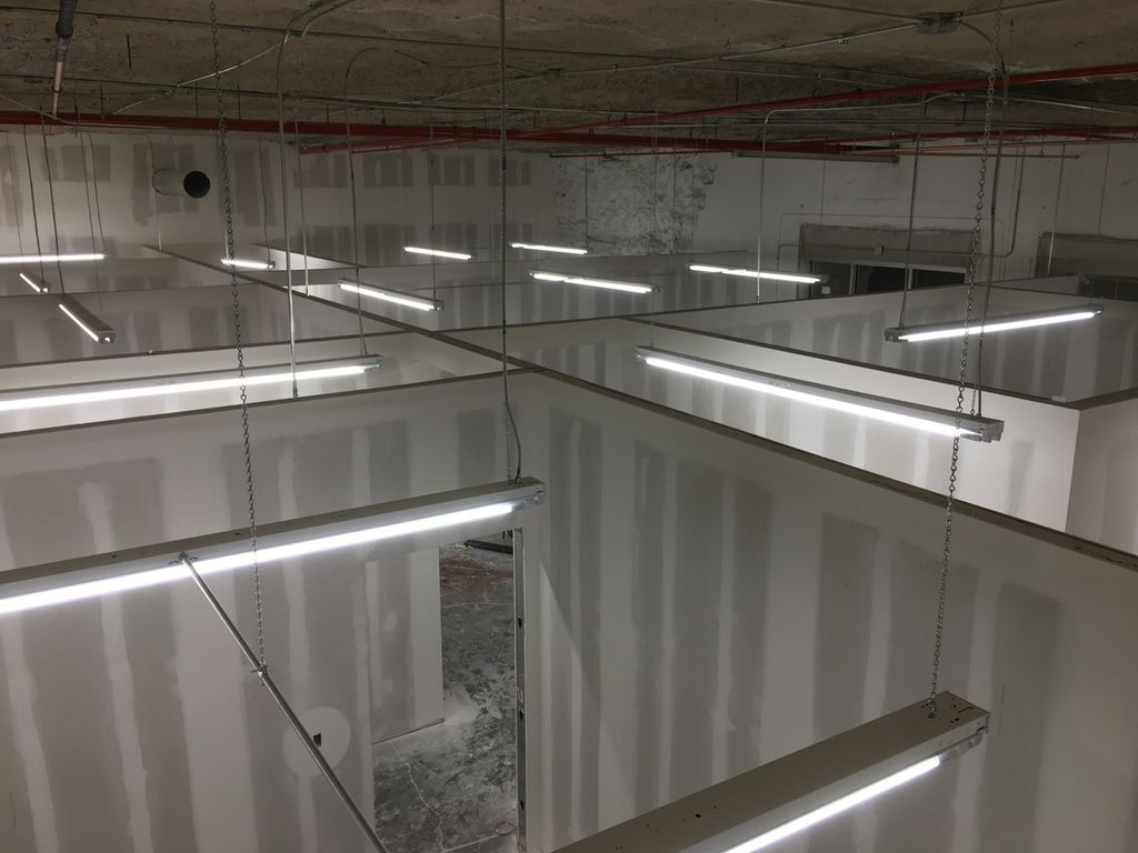 Projects and media