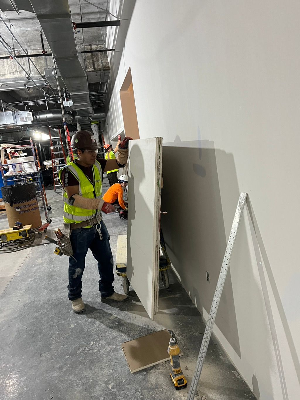 Projects and media