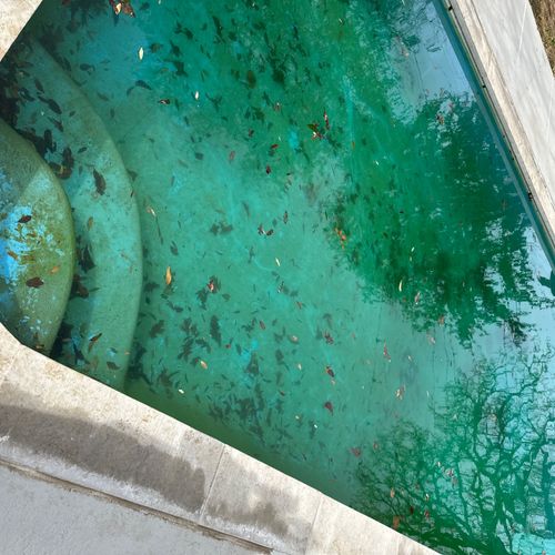 I’m selling my house and needed the pool cleaned q