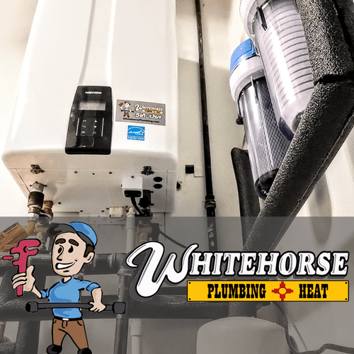 Tankless Water Heater with whole house filters