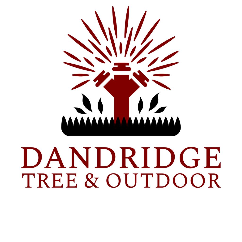 Dandridge Tree & Outdoor LLC