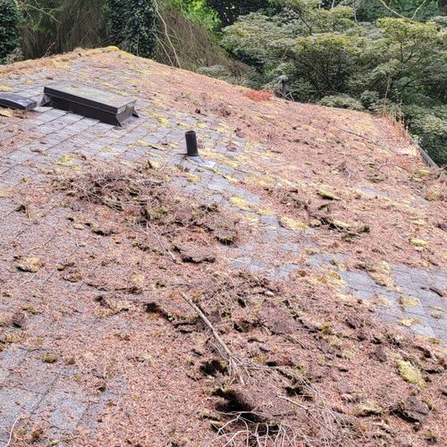 Roof cleaning moss removal. 