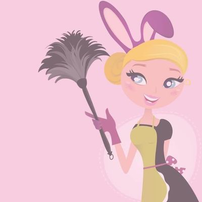 Avatar for Dust Bunny Cleaning