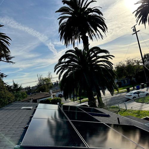 Solar panel cleaning 