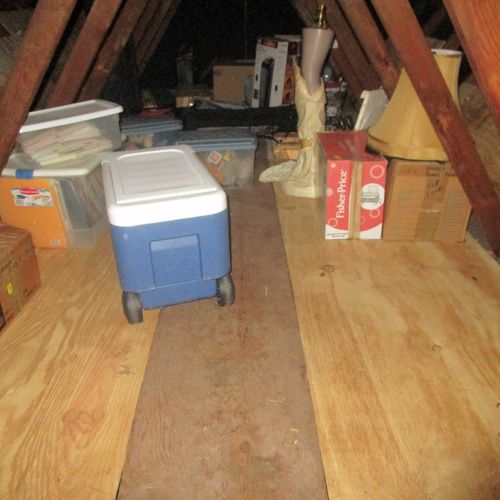Pest inspection inside attic