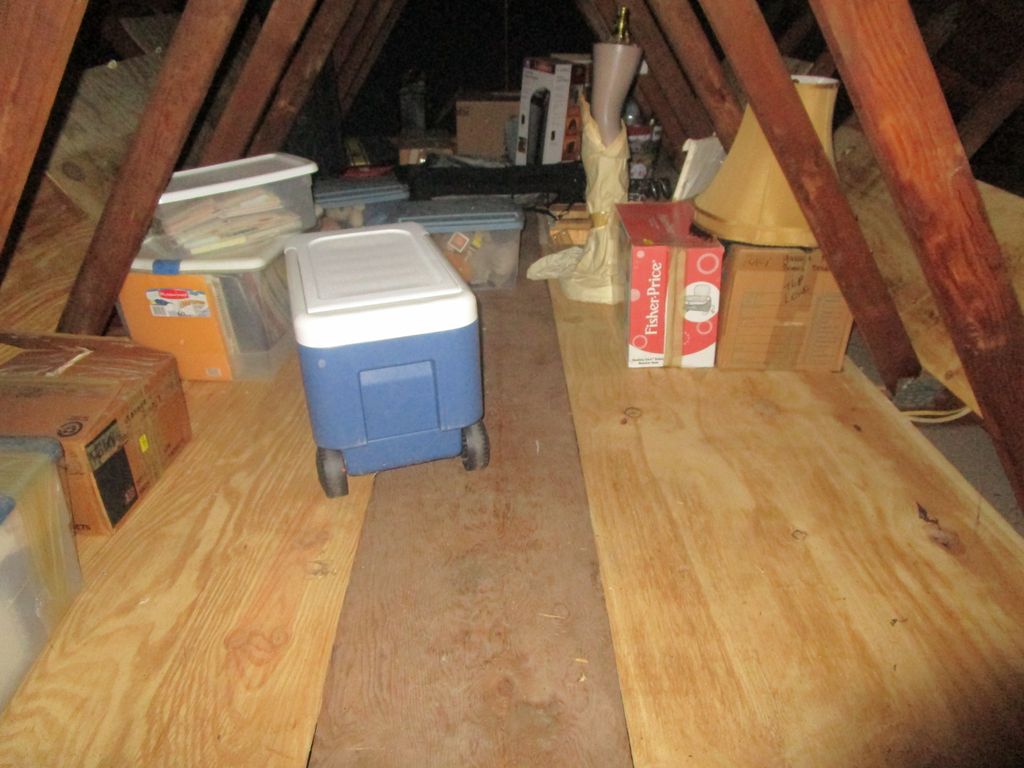 Pest inspection inside attic