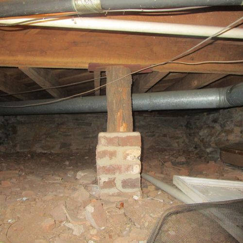 Pest inspection in crawlspace