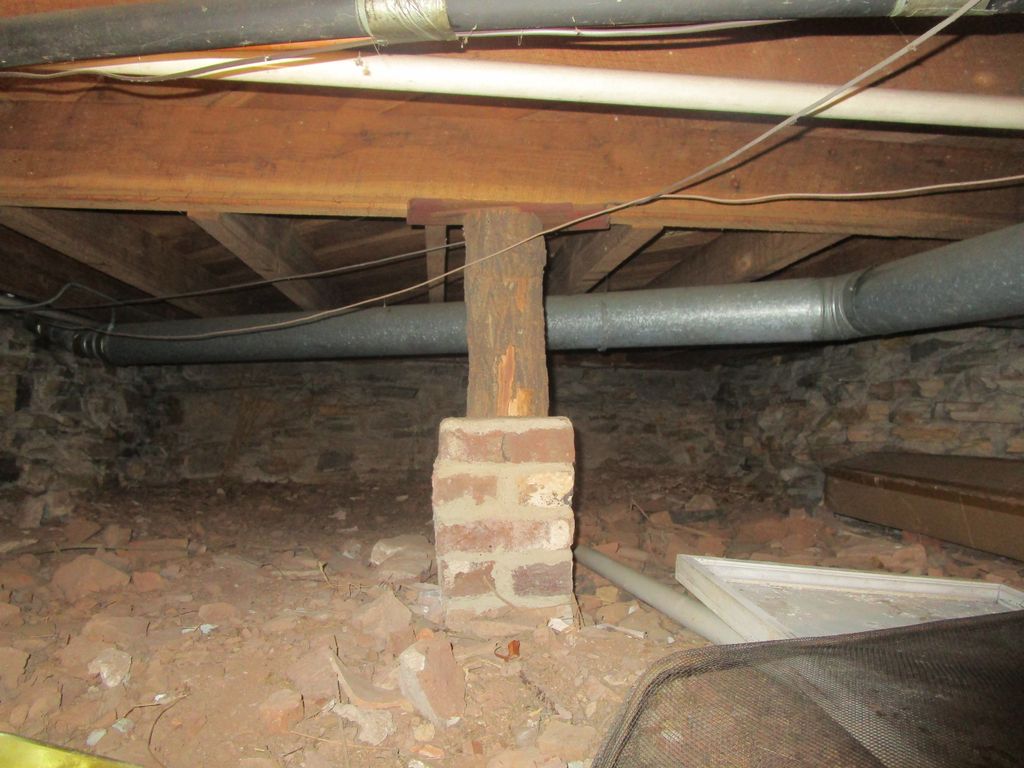 Pest inspection in crawlspace