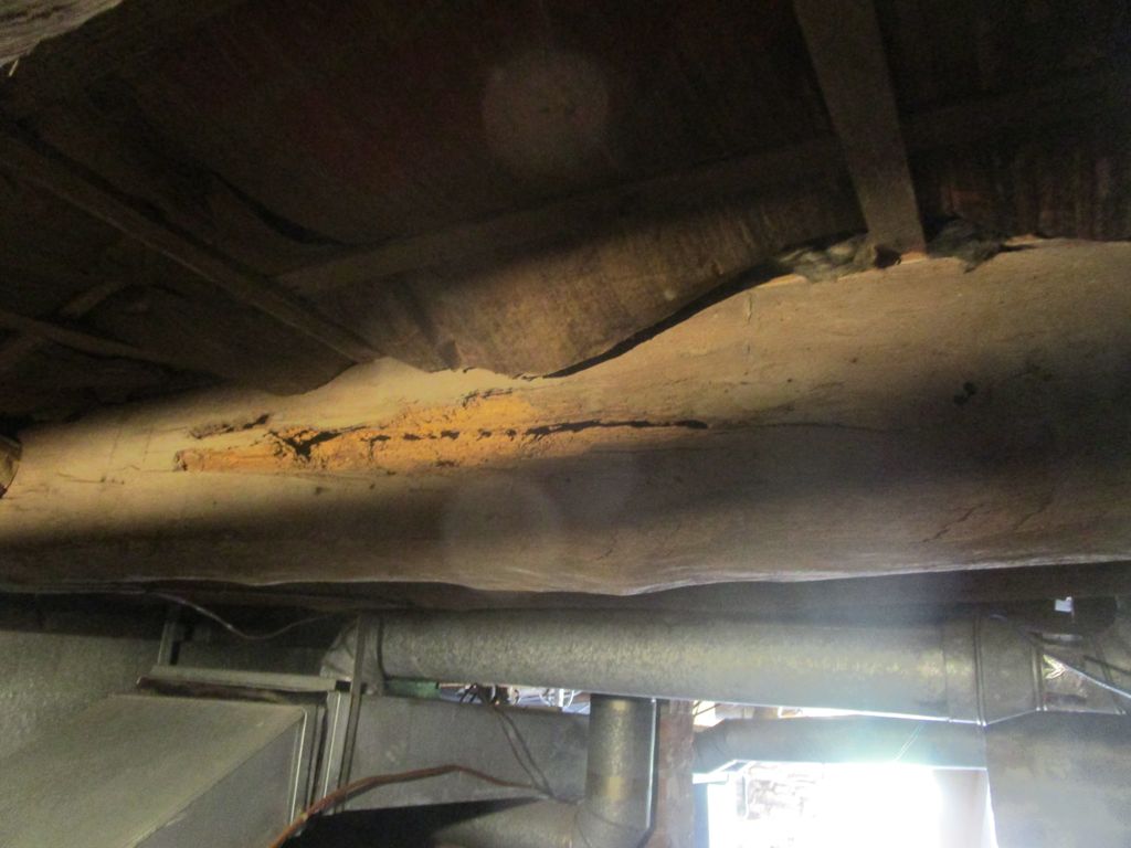 Termite damage 