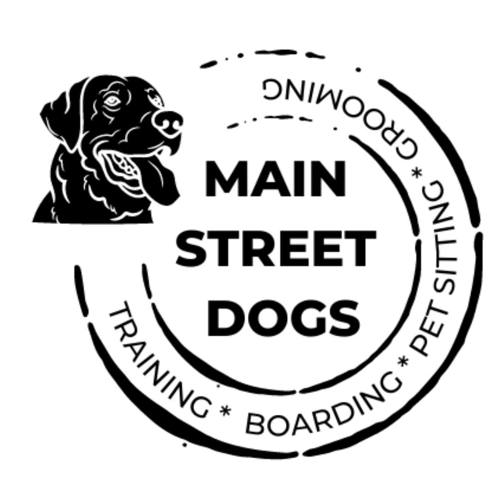 Main Street Dogs Training & Boarding