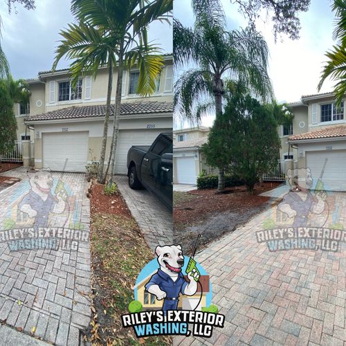 Roof Cleaning
