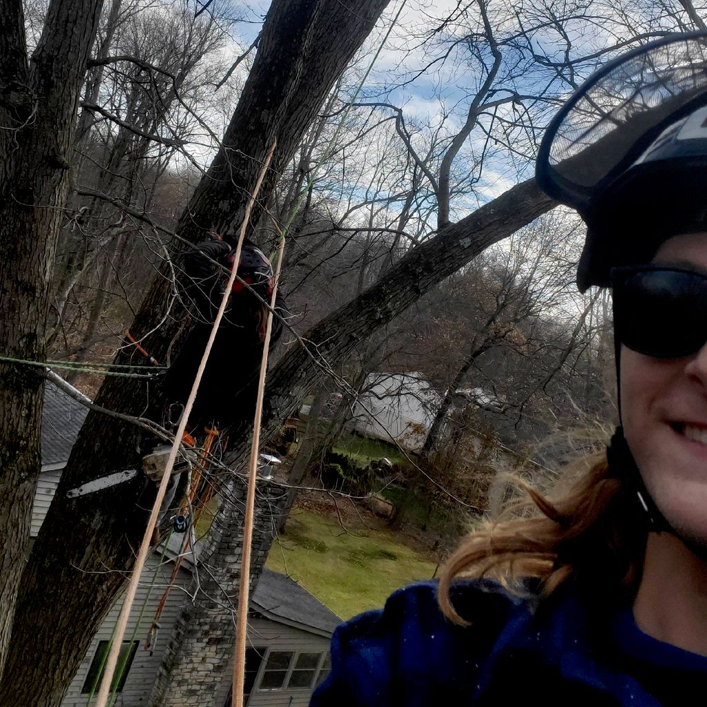 JJ's Tree Solutions LLC