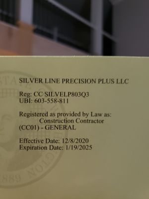 Avatar for Silver Line Precision Plus LLC