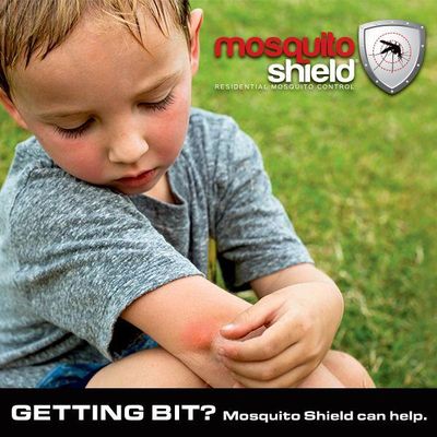 Avatar for Mosquito Shield of Vero Beach