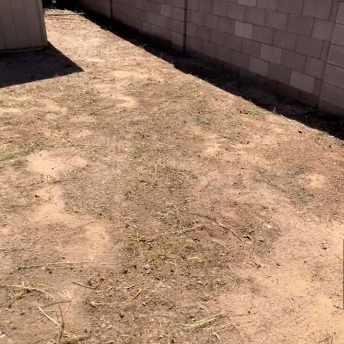 Featured Projects