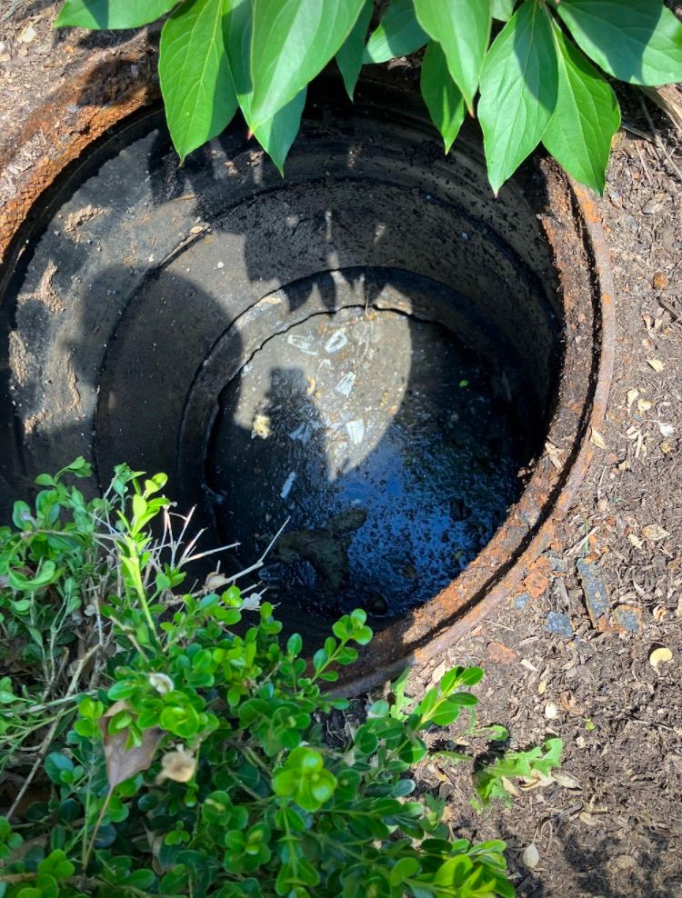 Uncovering of a septic manhole with a clogged inle
