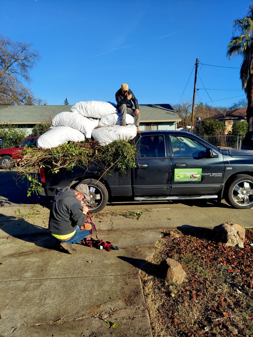 We contacted LGA Landscaping to do a full yard cle