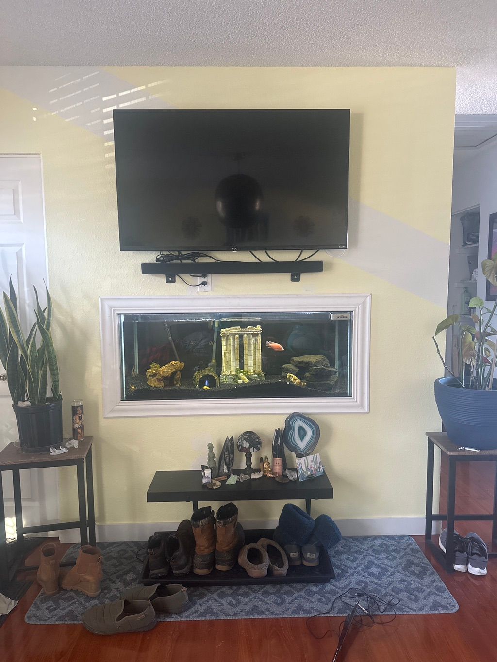 This is a custom fish tank that I had installed in