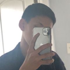 pro avatar