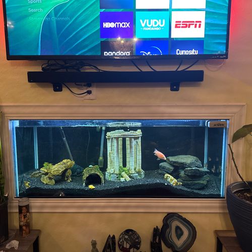 Liam designed and installed a custom fish tank sta