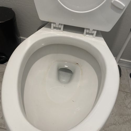 Toilet before standard clean