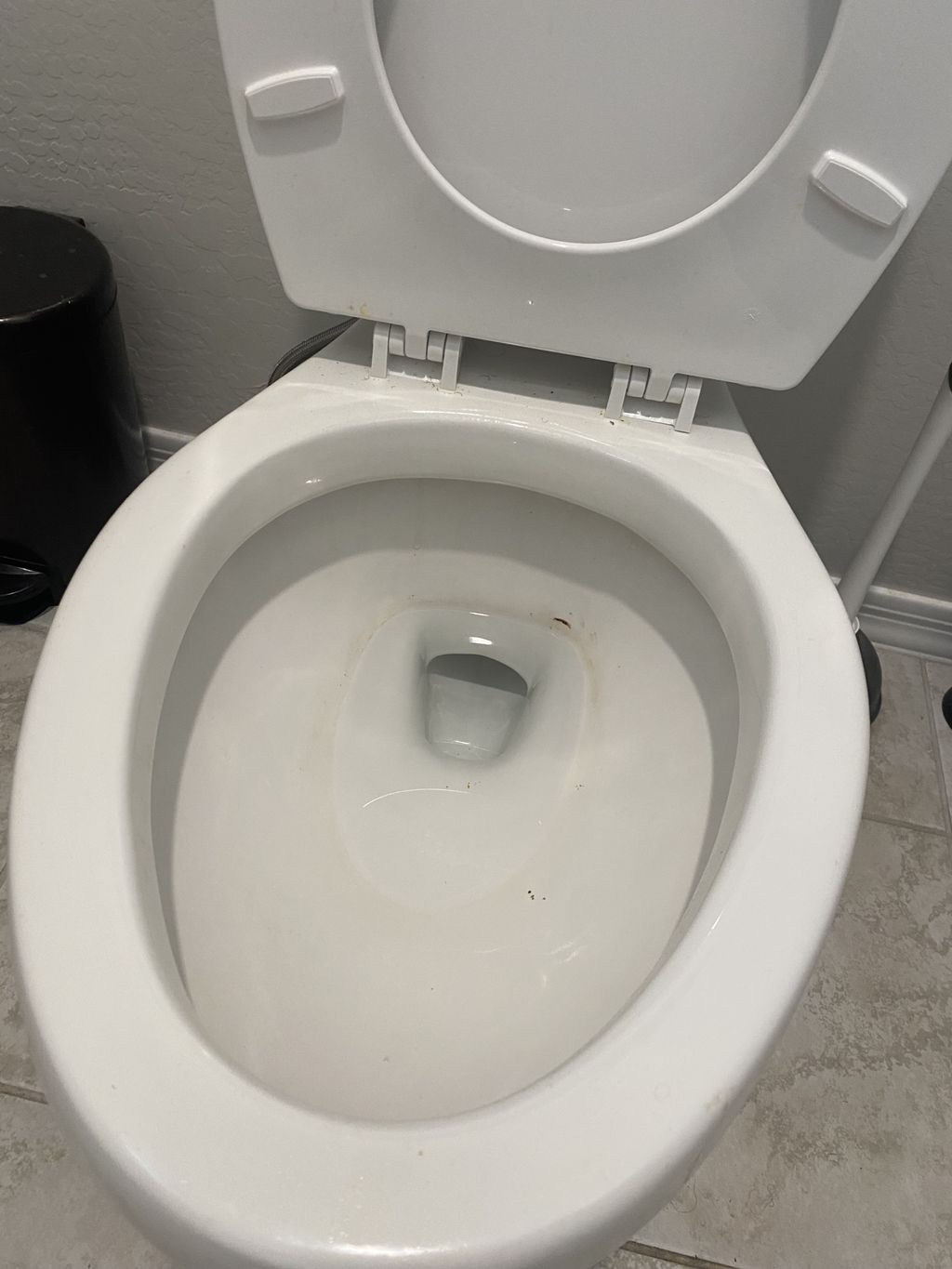 Toilet before standard clean
