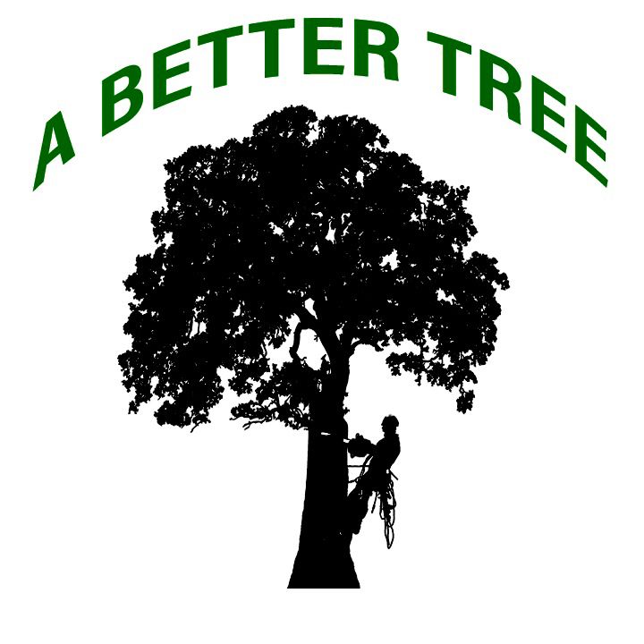 A Better Tree LLC