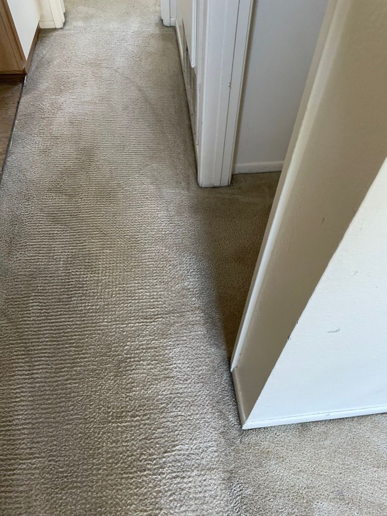 I love ❤️ cleaning Carpet