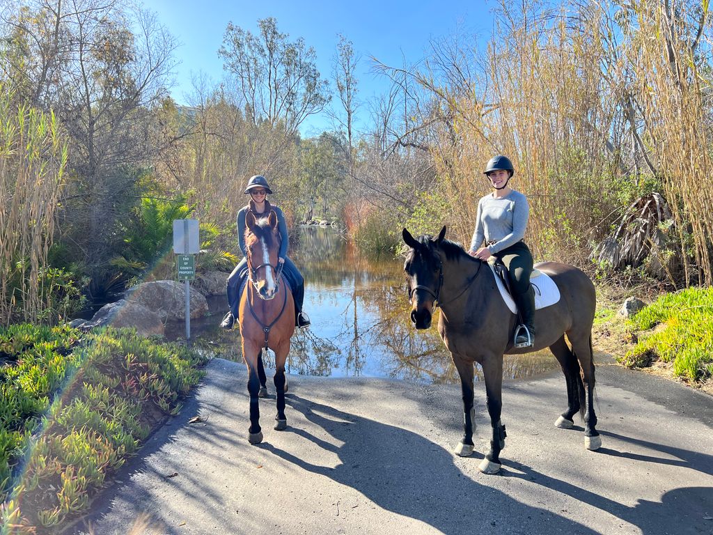 Trail riding day