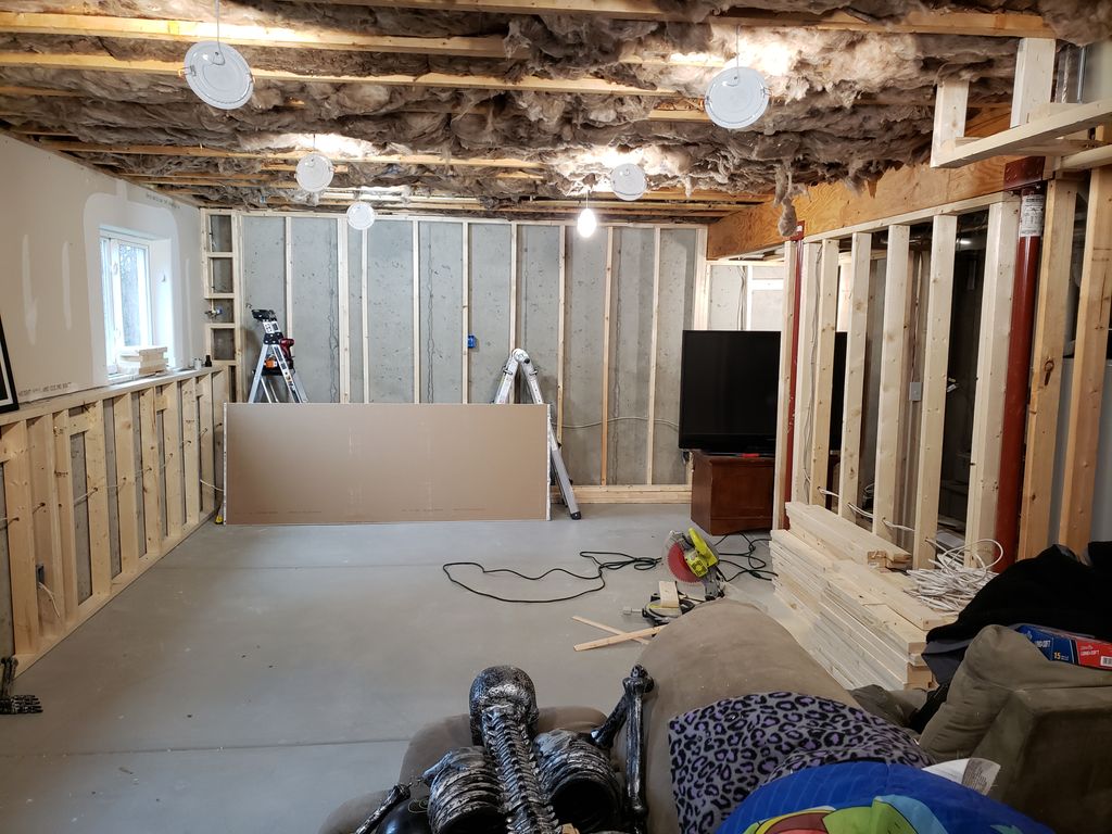 Projects and media