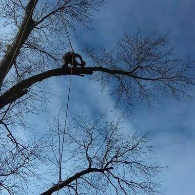Avatar for J&M Tree Service