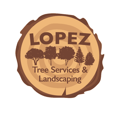Avatar for Lopez Tree Service
