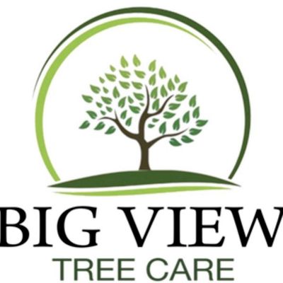 Avatar for Big View Tree Care