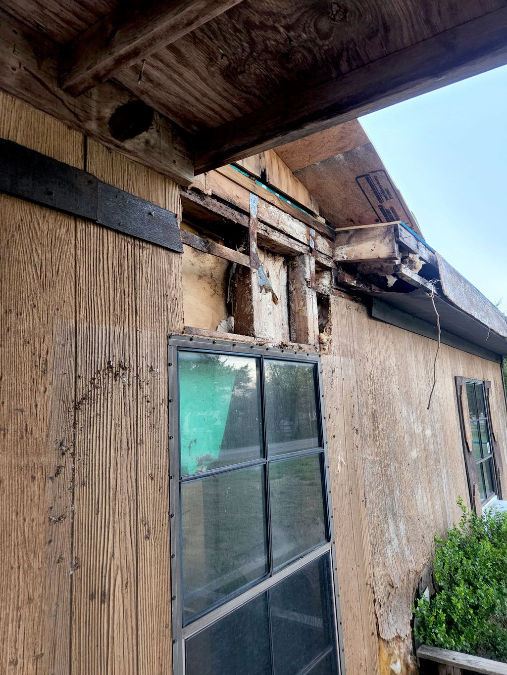 original water damage 