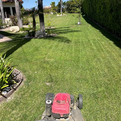 Avatar for Js gardening services