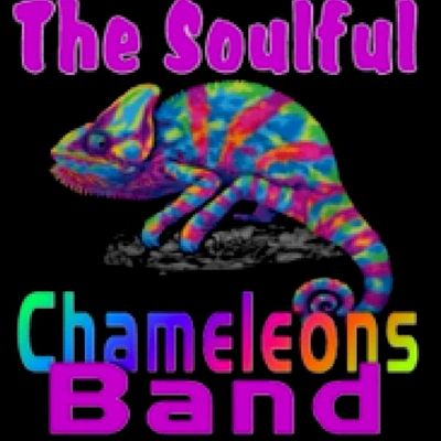 Avatar for The Soulful Chameleons Band