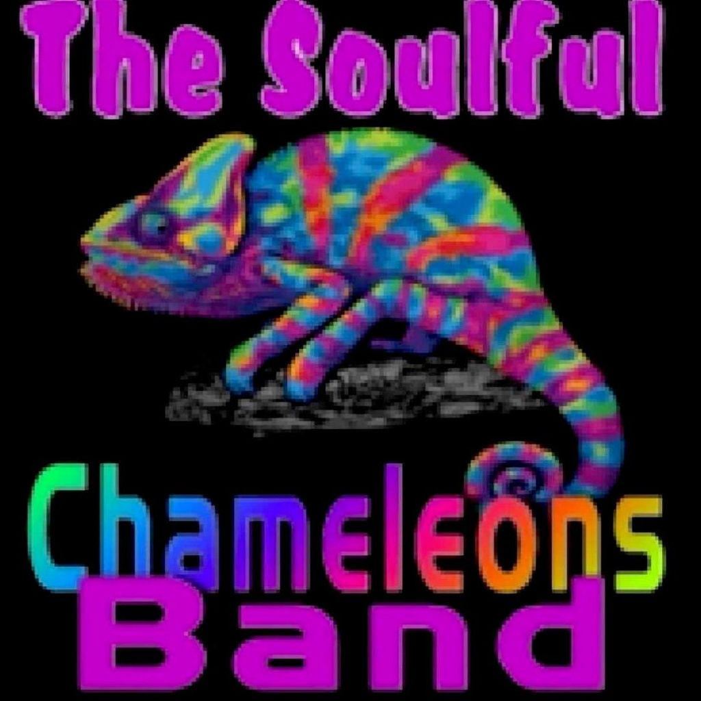 The Soulful Chameleons Band