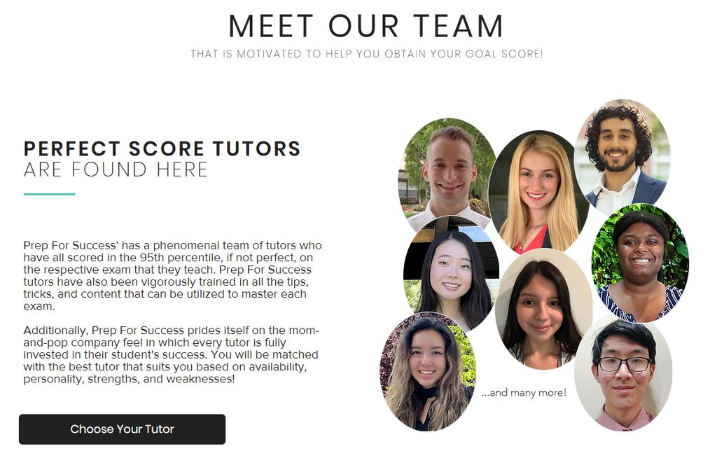 Meet our team!