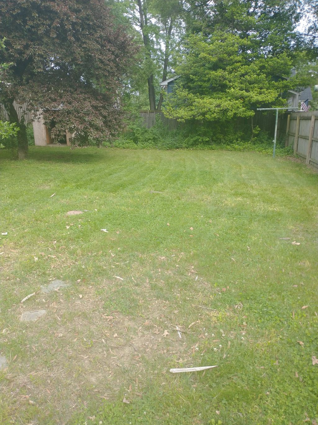 Lawn Mowing and Trimming