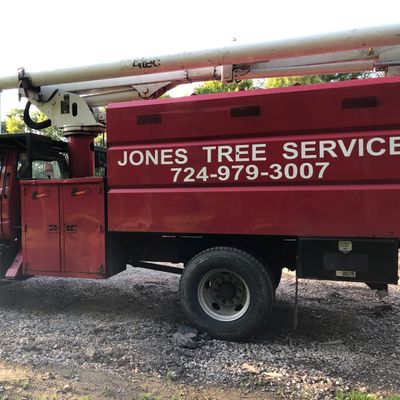 Avatar for Jones Tree Service