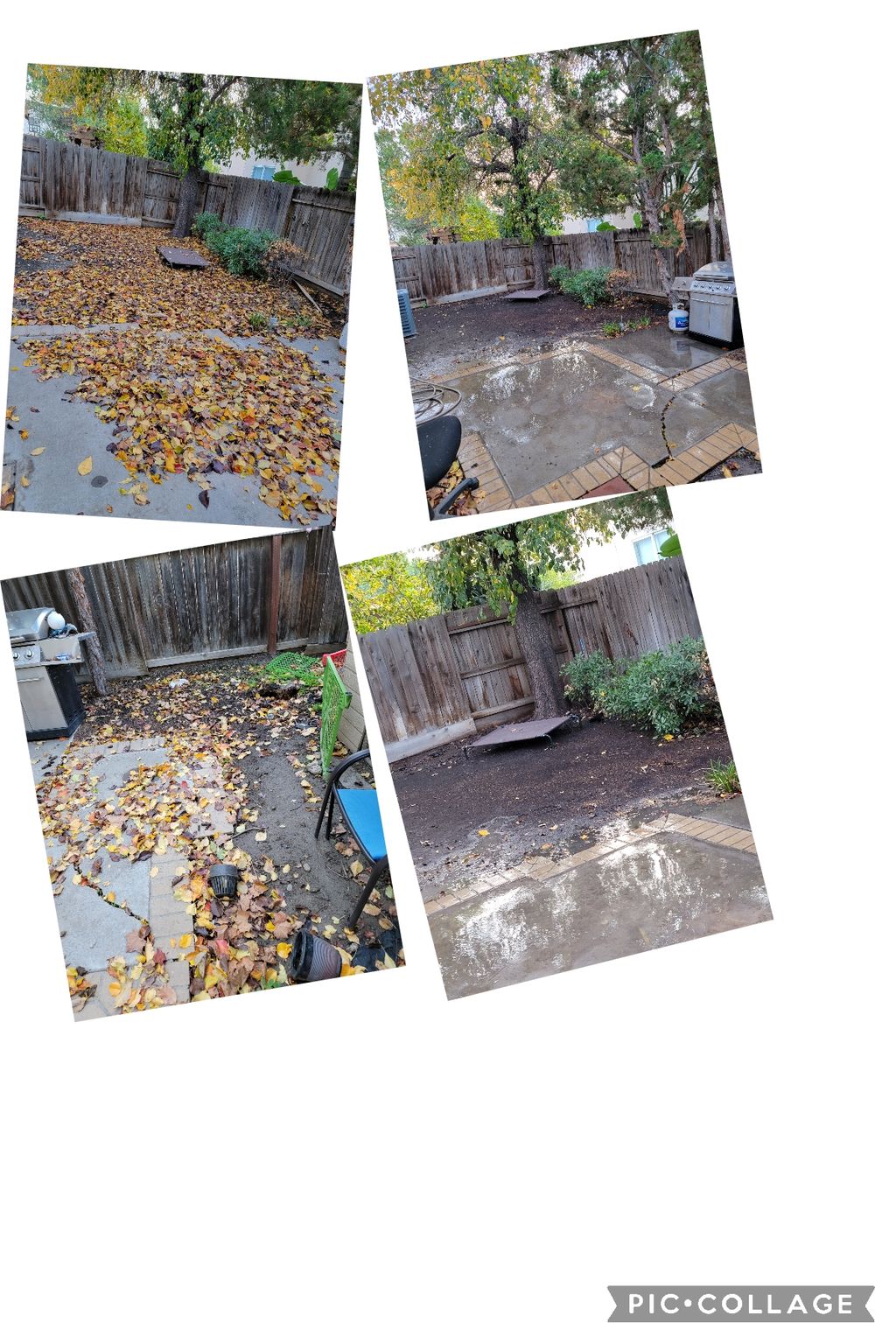 back yard cleanup